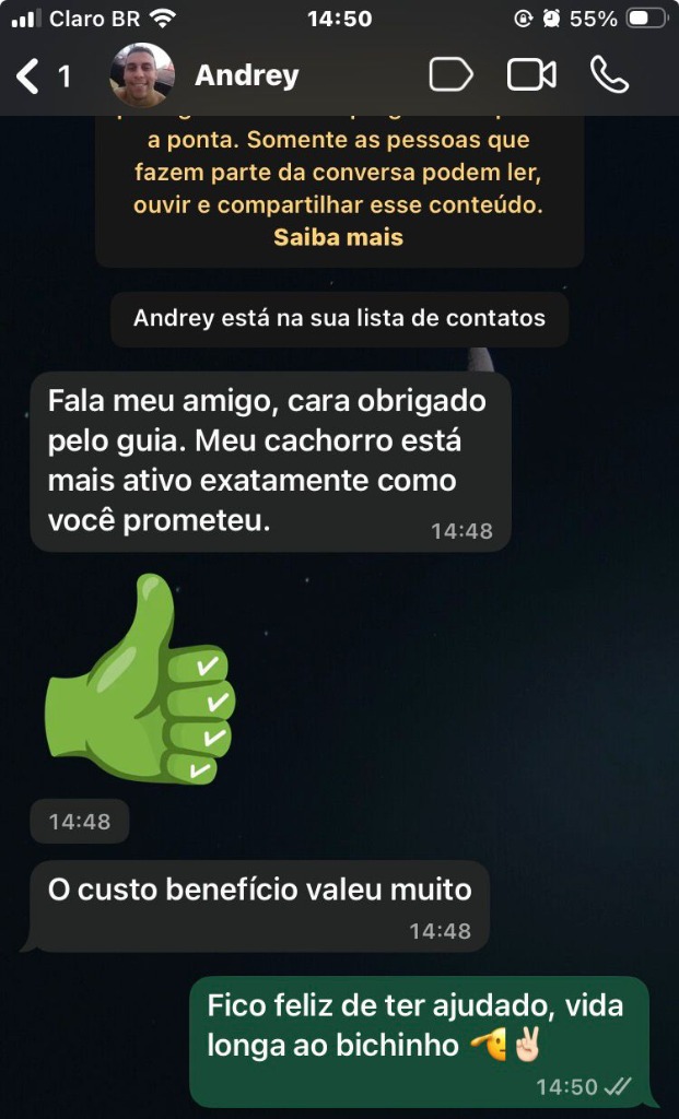 Depoimento Andrey