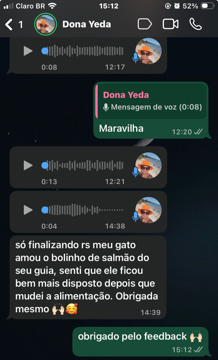 Depoimento Dona Yeda